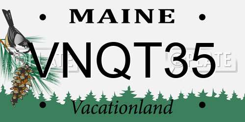 VNQT35 Maine License Plate
