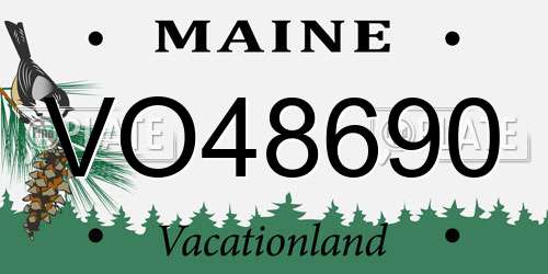 VO48690 Maine License Plate
