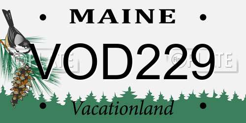 VOD229 Maine License Plate