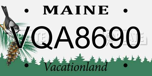 VQA8690 Maine License Plate