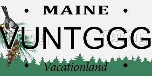 VUNTGGG Maine License Plate