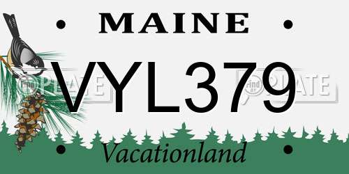 VYL379 Maine License Plate