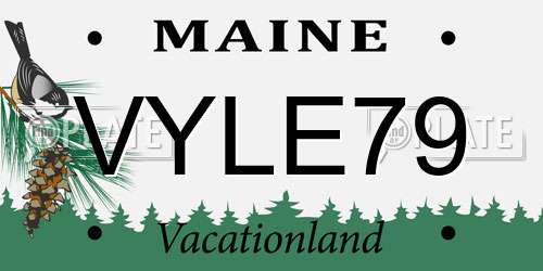 VYLE79 Maine License Plate