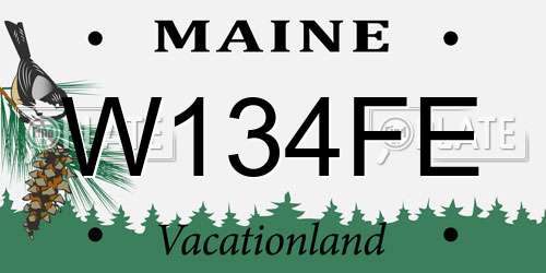 W134FE Maine License Plate