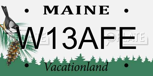 W13AFE Maine License Plate