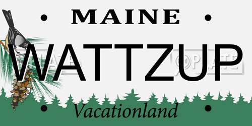WATTZUP Maine License Plate