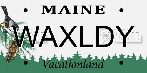 WAXLDY Maine License Plate