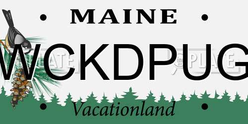 WCKDPUG Maine License Plate