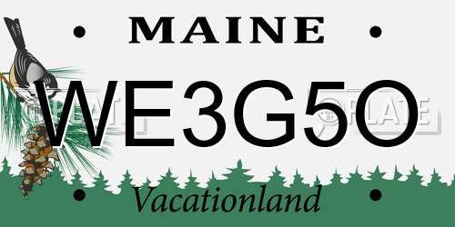WE3G5O Maine License Plate