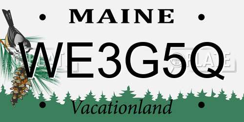 WE3G5Q Maine License Plate