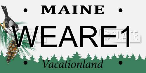 WEARE1 Maine License Plate