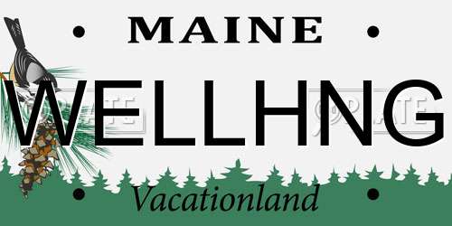 WELLHNG Maine License Plate