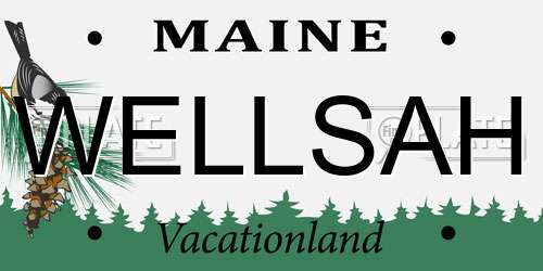 WELLSAH Maine License Plate