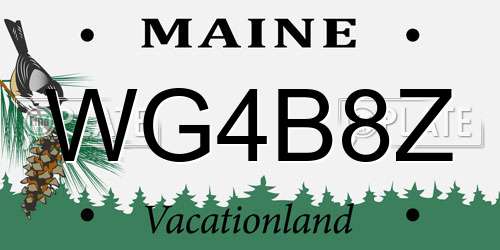 WG4B8Z Maine License Plate