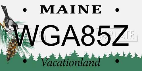 WGA85Z Maine License Plate