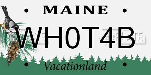 WH0T4B Maine License Plate