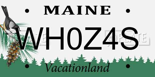 WH0Z4S Maine License Plate