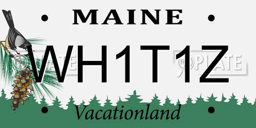 WH1T1Z Maine License Plate