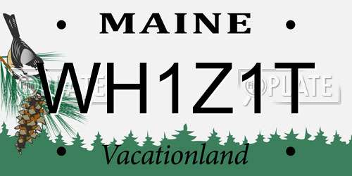 WH1Z1T Maine License Plate