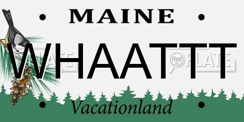 WHAATTT Maine License Plate