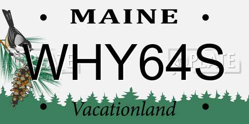 WHY64S Maine License Plate