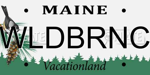 WLDBRNC Maine License Plate