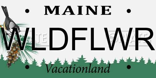 WLDFLWR Maine License Plate