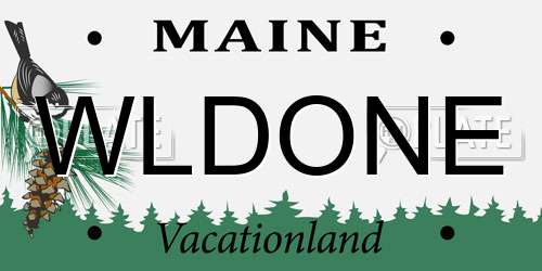WLDONE Maine License Plate