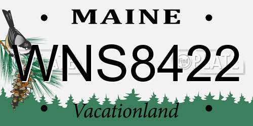 WNS8422 Maine License Plate