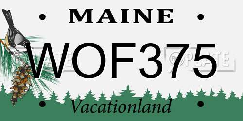 WOF375 Maine License Plate