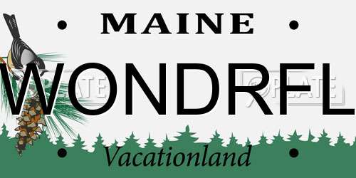 WONDRFL Maine License Plate