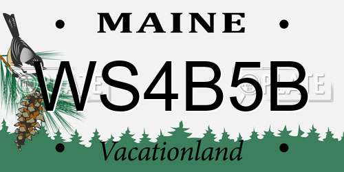 WS4B5B Maine License Plate
