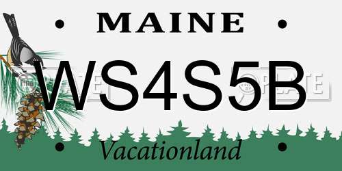 WS4S5B Maine License Plate