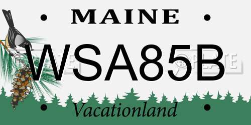 WSA85B Maine License Plate