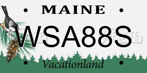 WSA88S Maine License Plate