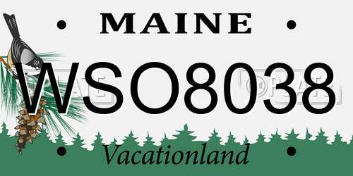 WSO8038 Maine License Plate