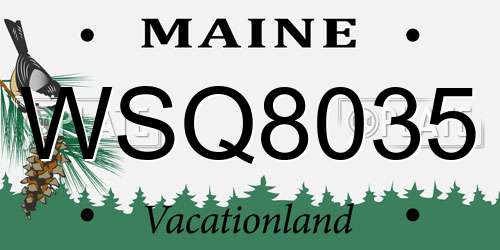 WSQ8035 Maine License Plate