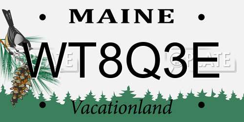 WT8Q3E Maine License Plate