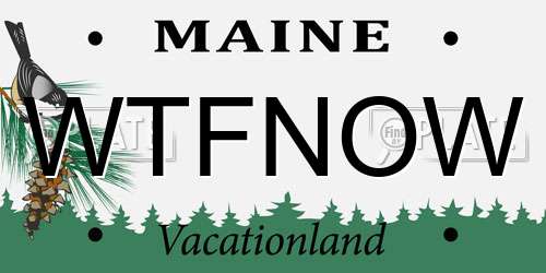 WTFNOW Maine License Plate
