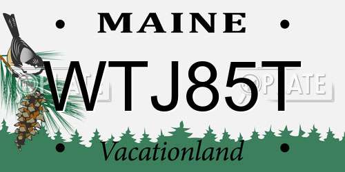 WTJ85T Maine License Plate