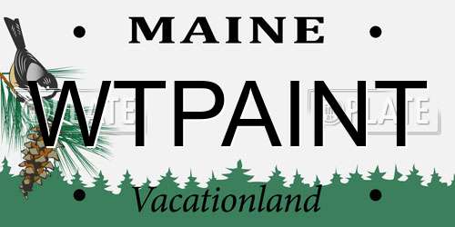 WTPAINT Maine License Plate