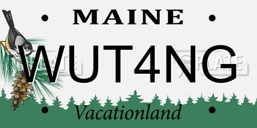 WUT4NG Maine License Plate