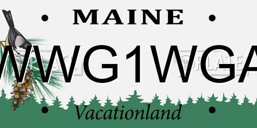 WWG1WGA Maine License Plate
