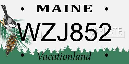 WZJ852 Maine License Plate