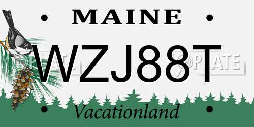 WZJ88T Maine License Plate