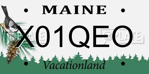 X01QEO Maine License Plate