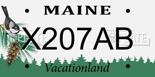 X207AB Maine License Plate