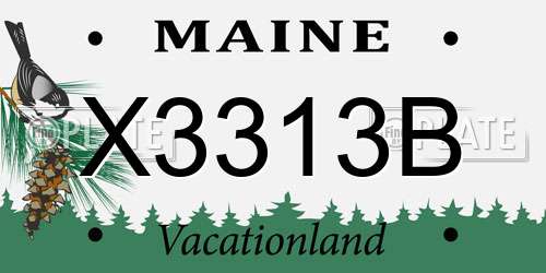 X3313B Maine License Plate