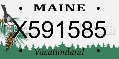 X591585 Maine License Plate