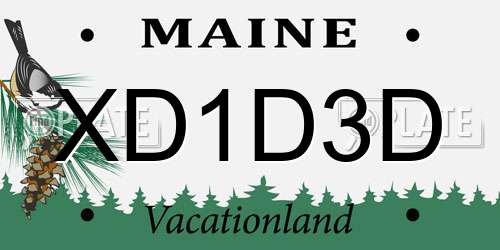 XD1D3D Maine License Plate
